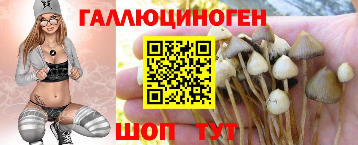 Псилоцибиновые грибы ЛСД  Вход с VPN  Шуя 